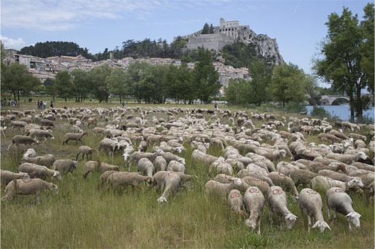 sisteron1