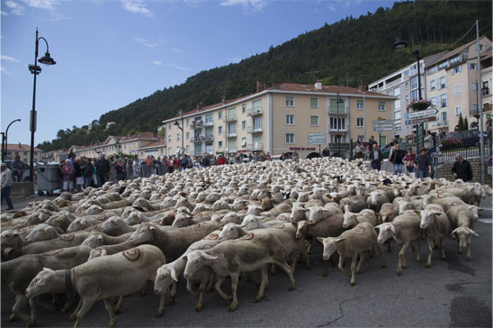 sisteron2